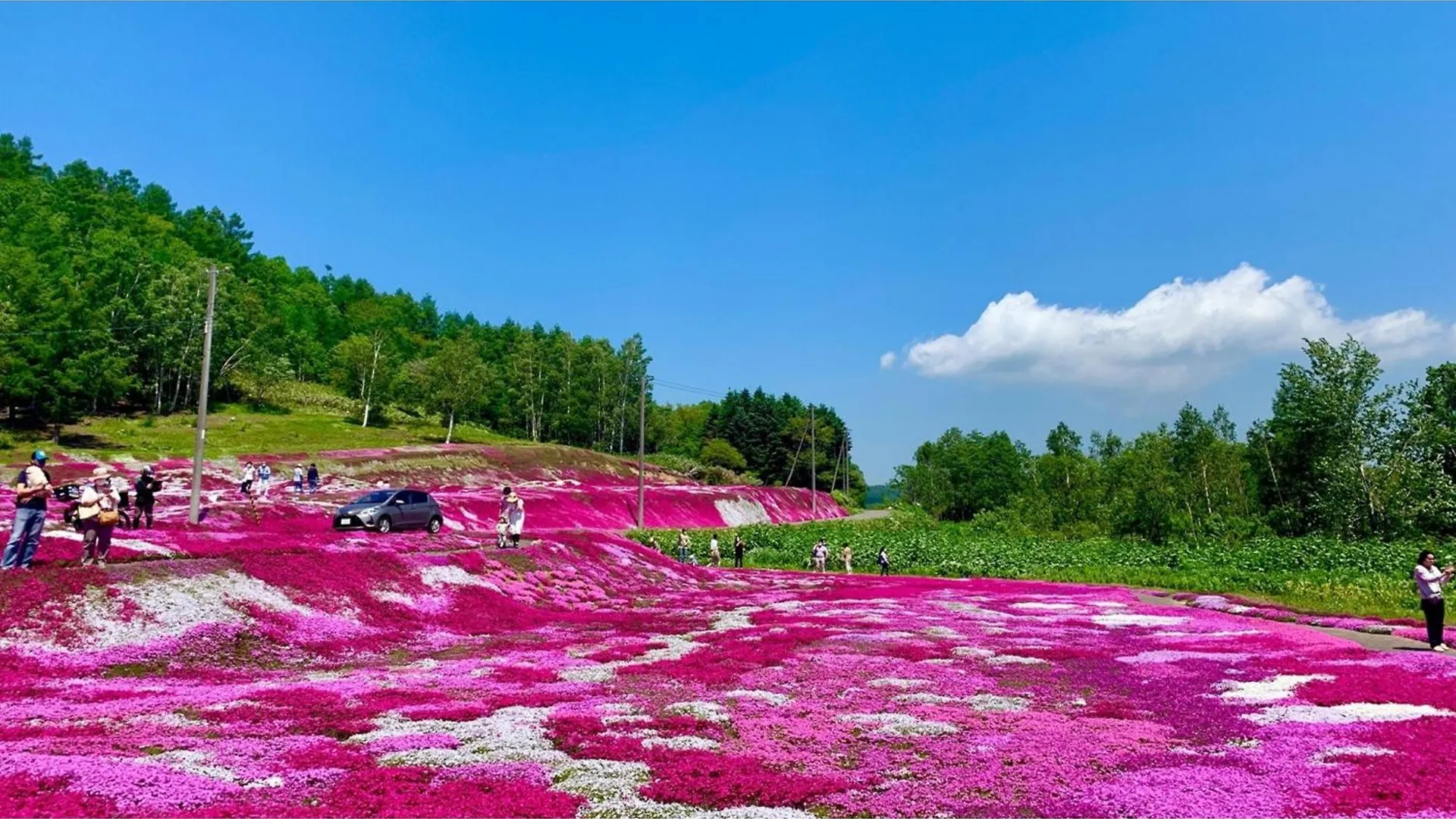 Hotel Skye Niseko - Vacation Stay 30783V